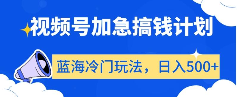 视频号加急搞钱计划，蓝海冷门玩法，日入500+【揭秘】-E网资源