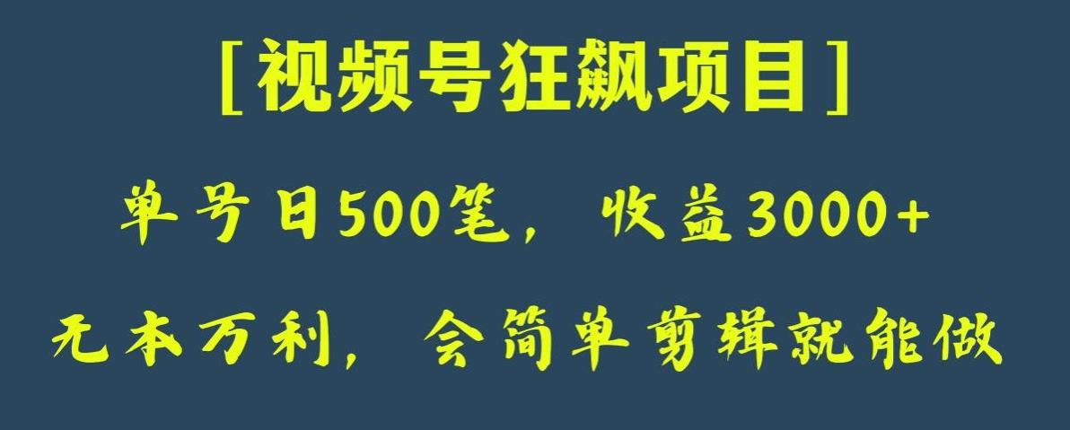 日收款500笔，纯利润3000+，视频号狂飙项目，会简单剪辑就能做【揭秘】-E网资源