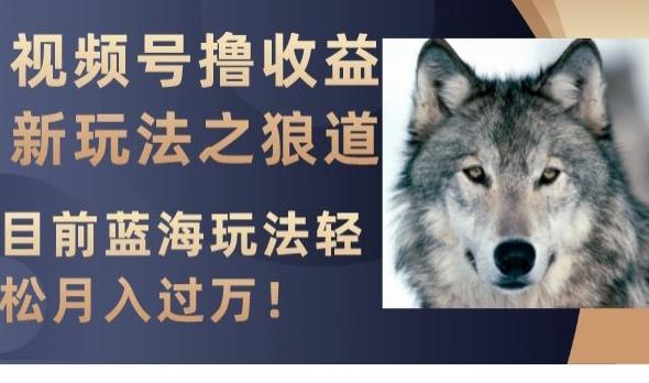 视频号撸收益新玩法之狼道，目前蓝海玩法，轻松月入过万【揭秘】-E网资源