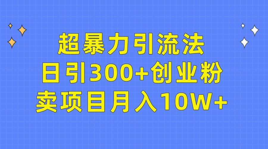 (9954期)超暴力引流法，日引300+创业粉，卖项目月入10W+-E网资源