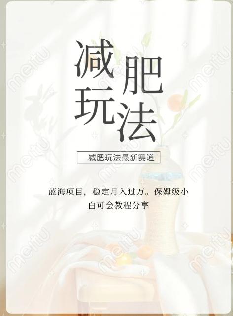 减肥流量主新玩法，轻松月入1W，可矩阵操作收入翻倍-E网资源