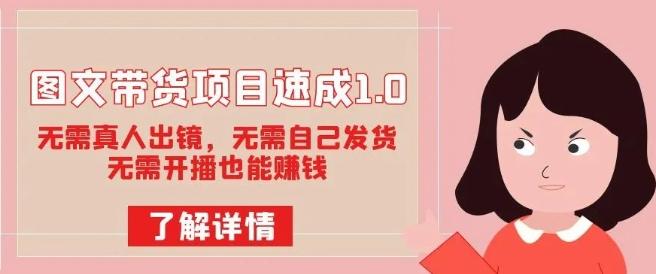 图文带货项目速成1.0：无需真人出镜，无需自己发货，无需开播也能赚钱！-E网资源