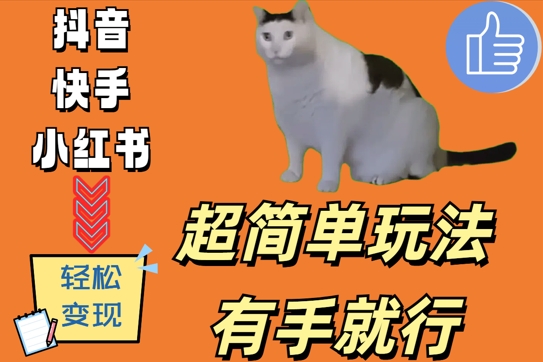 超简单玩法，有手就行，靠猫咪视频日入500+【揭秘】-E网资源