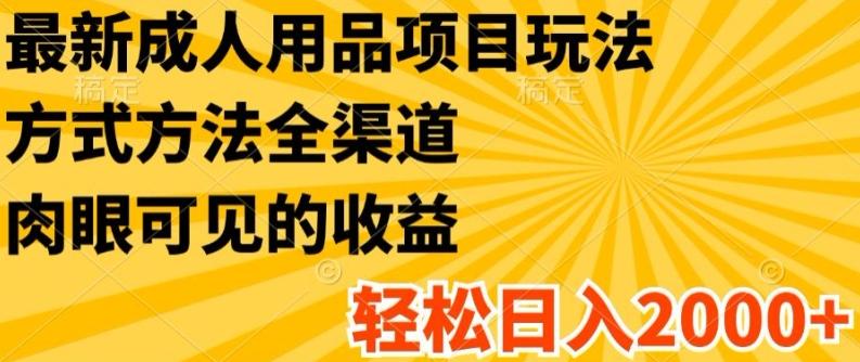 最新成人用品项目玩法，方式方法全渠道，轻松日入2K+【揭秘】-E网资源