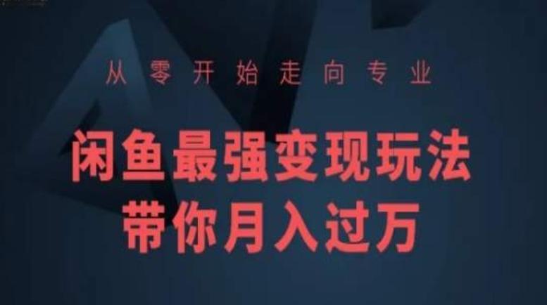 从零开始走向专业，闲鱼最强变现玩法带你月入过万-E网资源