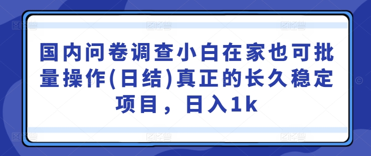 国内问卷调查小白在家也可批量操作(日结)真正的长久稳定项目，日入1k【揭秘】-E网资源