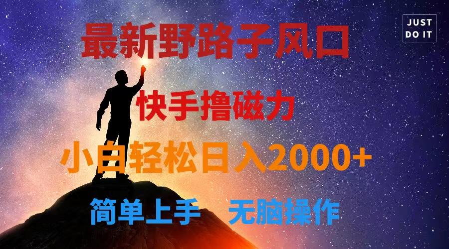 最新风口！快手撸磁力，野路子，小白无脑操作日入2000+-E网资源