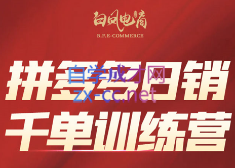 白凤电商学院·拼多多日销千单训练营(更新7月)-E网资源