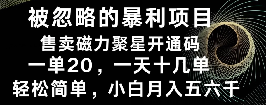 被忽略的暴利项目！售卖磁力聚星开通码，一单20，一天十几单，轻松月入五六千-E网资源