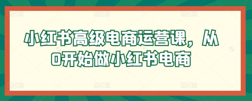 小红书高级电商运营课，从0开始做小红书电商-E网资源