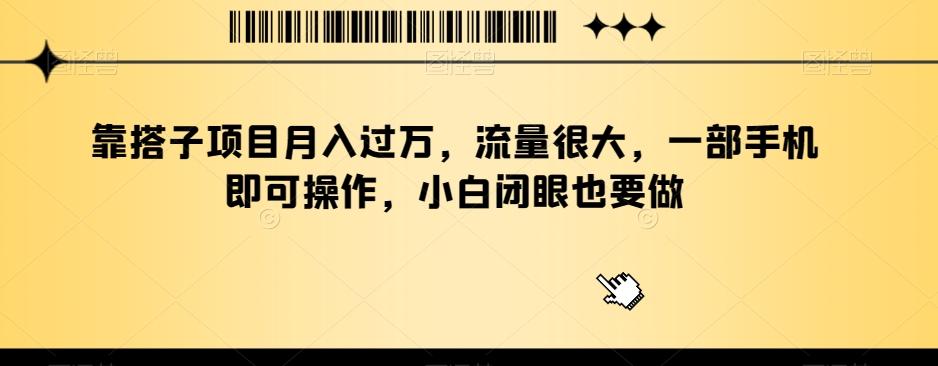 靠搭子项目月入过万，流量很大，一部手机即可操作，小白闭眼也要做-E网资源