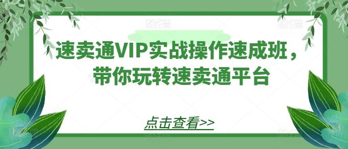 速卖通VIP实战操作速成班，带你玩转速卖通平台-E网资源