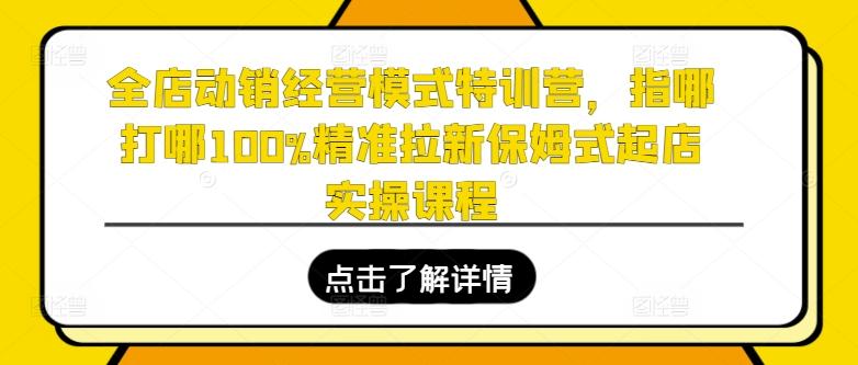 全店动销经营模式特训营，指哪打哪100%精准拉新保姆式起店实操课程-E网资源