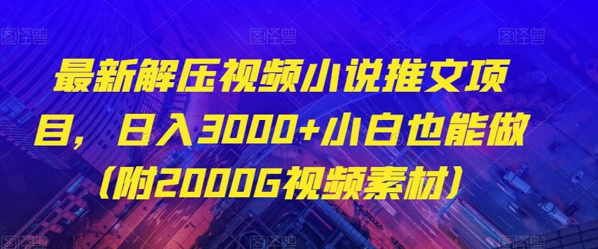 最新解压视频小说推文项目，日入3000+小白也能做（附2000G视频素材）【揭秘】-E网资源
