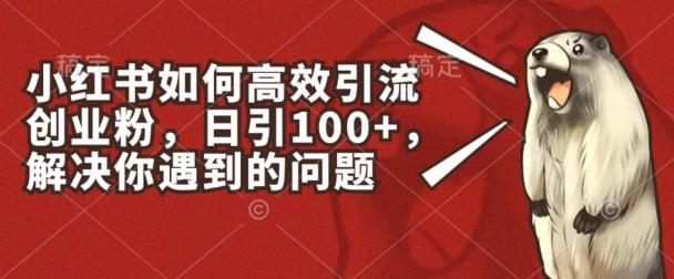 小红书如何高效引流创业粉，日引100+，解决你遇到的问题【揭秘】-E网资源