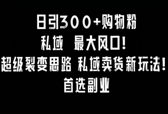 日引300+购物粉，超级裂变思路，私域卖货新玩法，小红书首选副业【揭秘】-E网资源