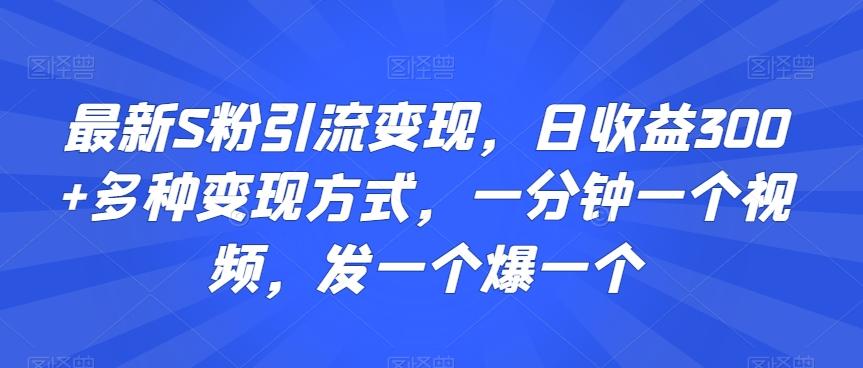 最新S粉引流变现，日收益300+多种变现方式，一分钟一个视频，发一个爆一个【揭秘】-E网资源