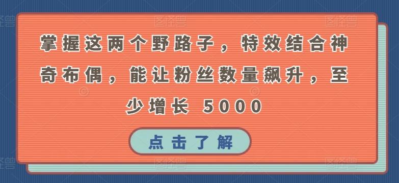 掌握这两个野路子，特效结合神奇布偶，能让粉丝数量飙升，至少增长 5000【揭秘】-E网资源