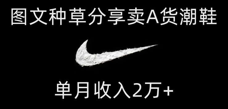 靠图文种草分享卖A货潮鞋，每天一小时，单月收入2万+【揭秘】-E网资源