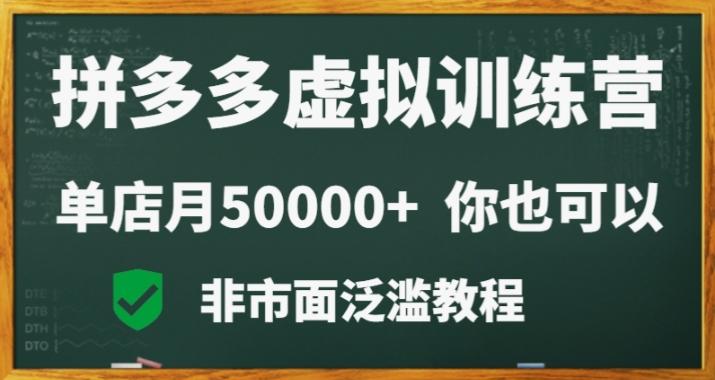 拼多多虚拟电商训练营月入30000+你也行，暴利稳定长久，副业首选-E网资源