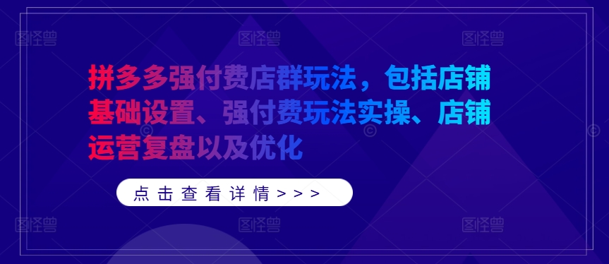 拼多多强付费店群玩法，包括店铺基础设置、强付费玩法实操、店铺运营复盘以及优化-E网资源