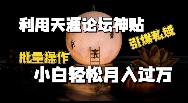 利用天涯论坛神贴，引爆私域，批量操作，小白轻松月入过w【揭秘】-E网资源