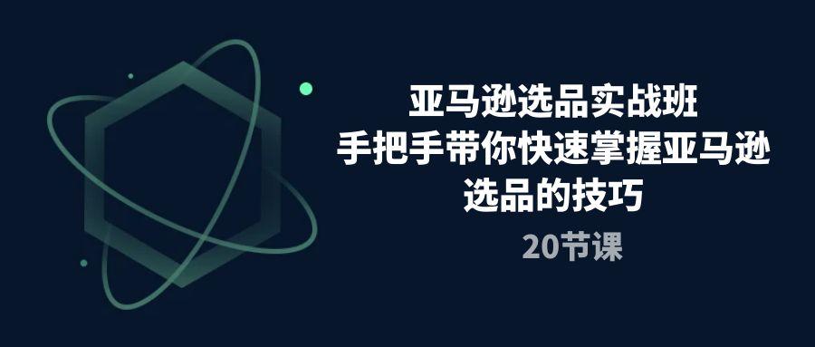 亚马逊选品实战班，手把手带你快速掌握亚马逊选品的技巧(20节课-E网资源