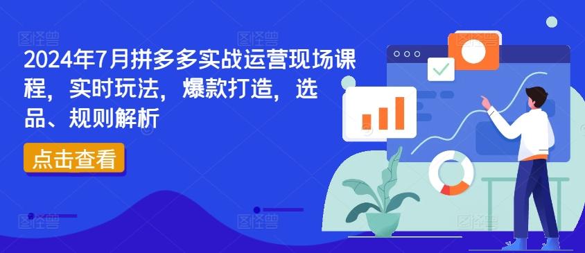 2024年7月拼多多实战运营现场课程，实时玩法，爆款打造，选品、规则解析-E网资源