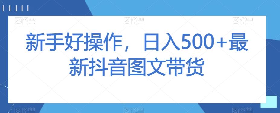 新手好操作，日入500+最新抖音图文带货【揭秘】-E网资源