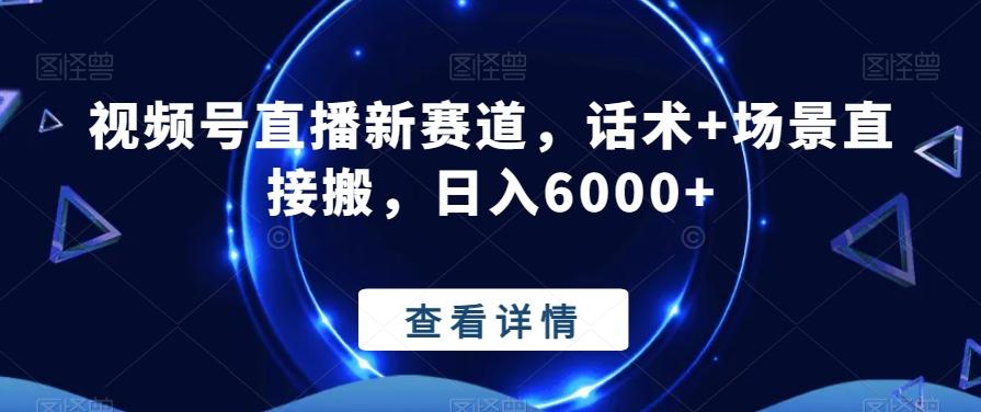 视频号直播新赛道，话术+场景直接搬，日入6000+-E网资源