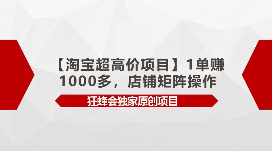 【淘宝超高价项目】1单赚1000多,店铺矩阵操作-E网资源