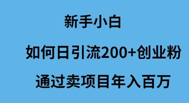 (9668期)新手小白如何日引流200+创业粉通过卖项目年入百万-E网资源