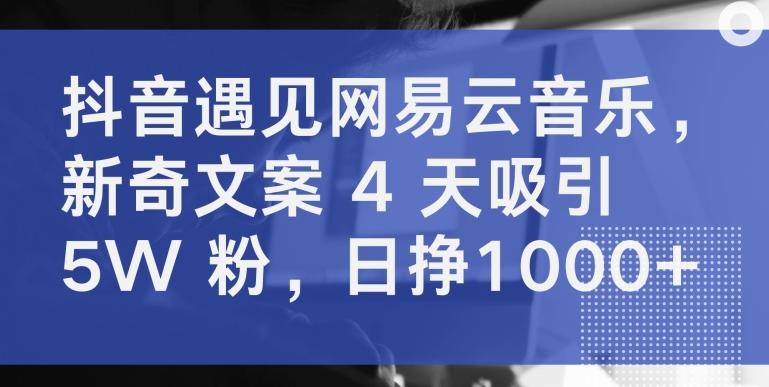 抖音遇见网易云音乐，新奇文案 4 天吸引 5W 粉，日挣1000+【揭秘】-E网资源