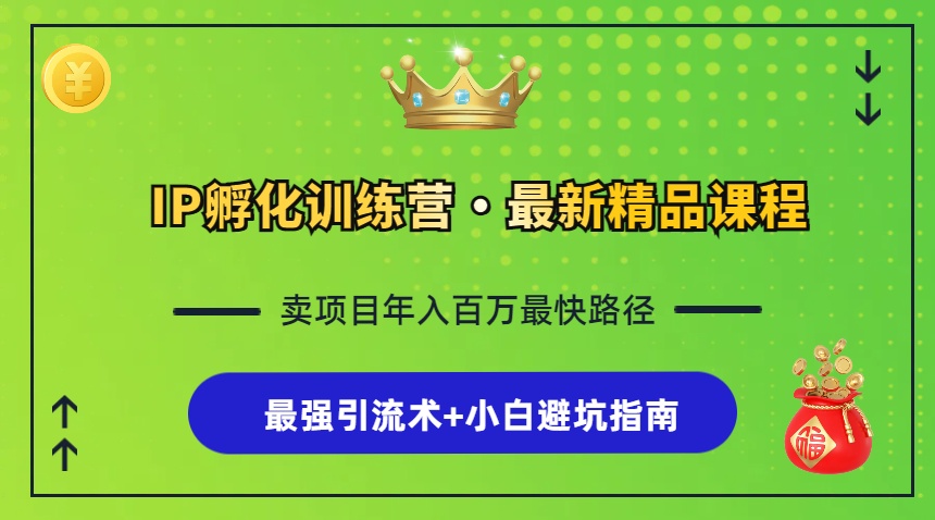 IP孵化训练营，知识付费全流程+最强引流术+小白避坑指南-E网资源