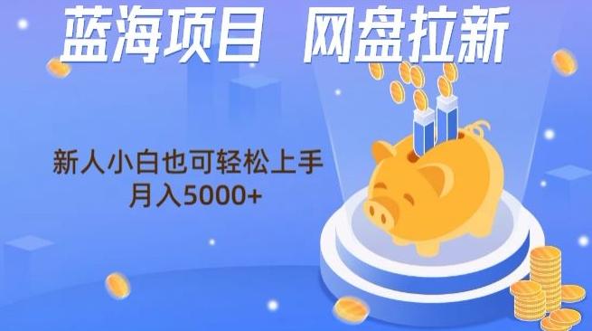 蓝海项目网盘拉新，新人小白也可操作，每月收入5000+-E网资源