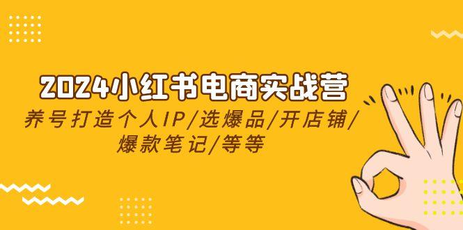 2024小红书电商实战营，养号打造IP/选爆品/开店铺/爆款笔记/等等(24节)-E网资源