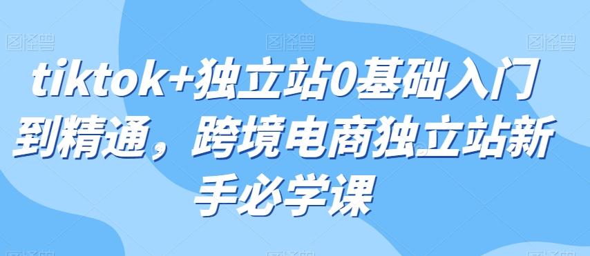 tiktok+独立站0基础入门到精通，跨境电商独立站新手必学课-E网资源