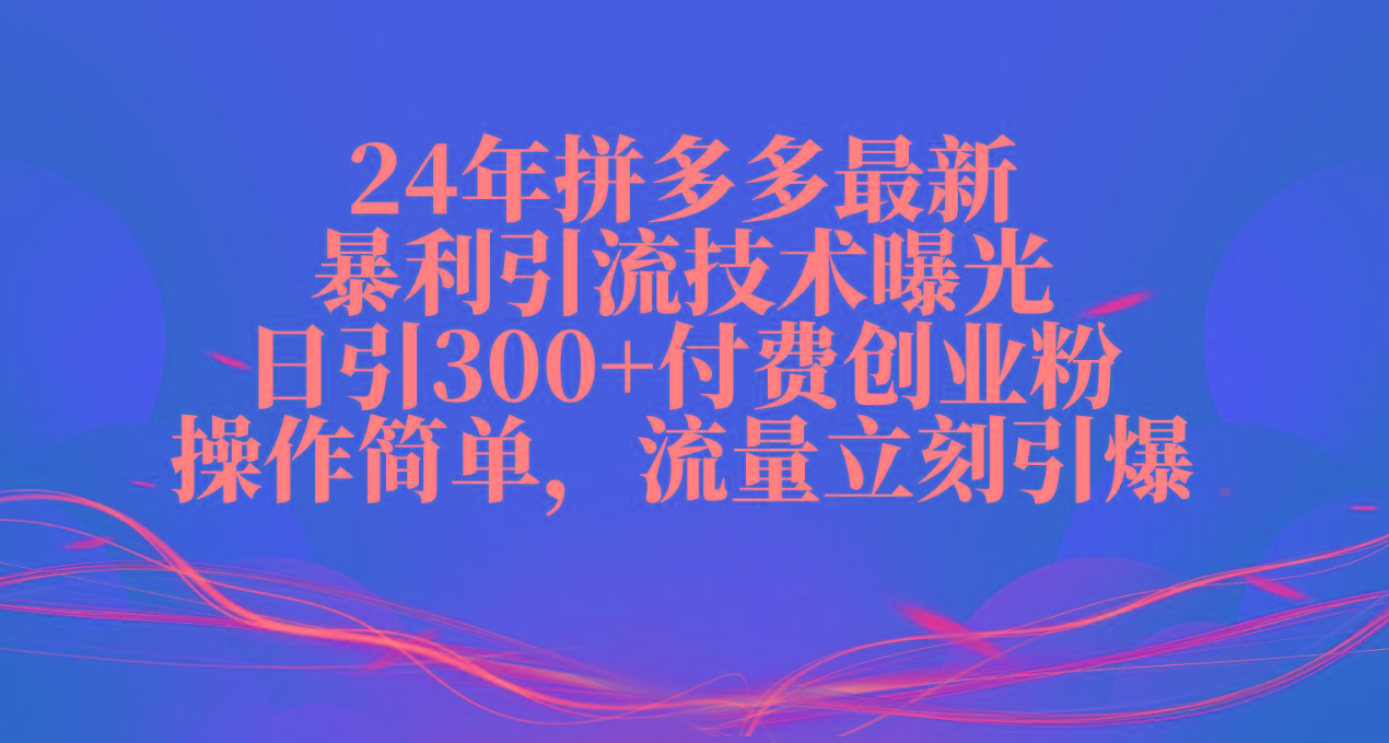 24年拼多多最新暴利引流技术曝光，日引300+付费创业粉，操作简单，流量…-E网资源