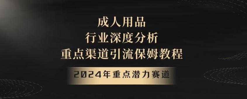 2024年重点潜力赛道，成人用品行业深度分析，重点渠道引流保姆教程【揭秘】-E网资源