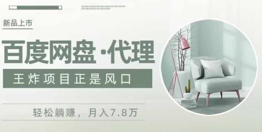 度盘代理，月入7w保姆级全方位教程-E网资源