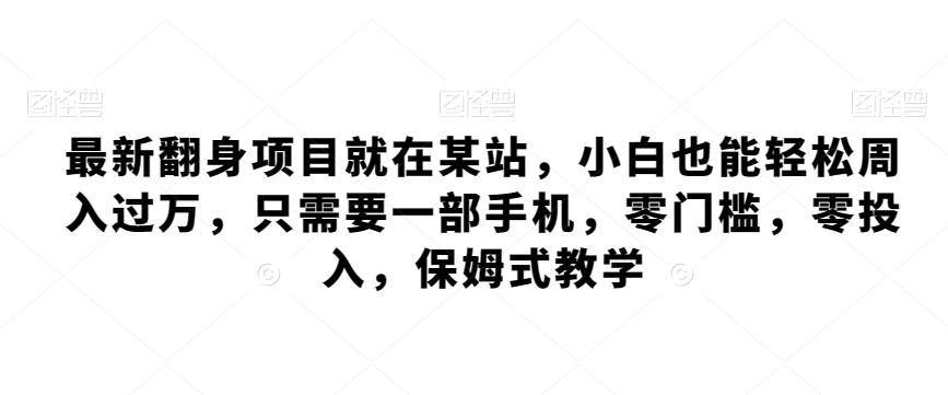 最新翻身项目就在某站，小白也能轻松周入过万，只需要一部手机，零门槛，零投入，保姆式教学-E网资源