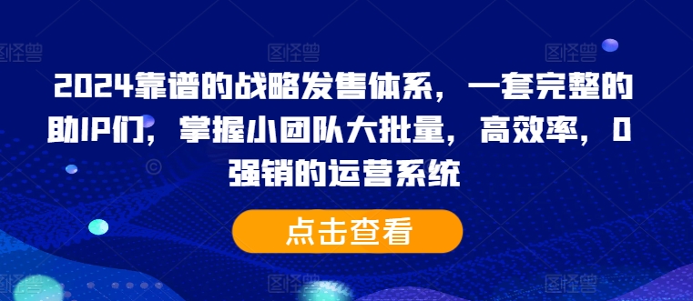 2024靠谱的战略发售体系，一套完整的助IP们，掌握小团队大批量，高效率，0 强销的运营系统-E网资源