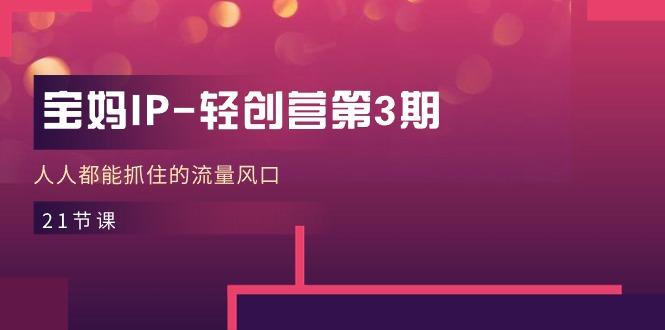宝妈IP-轻创营第3期，人人都能抓住的流量风口(21节课-E网资源