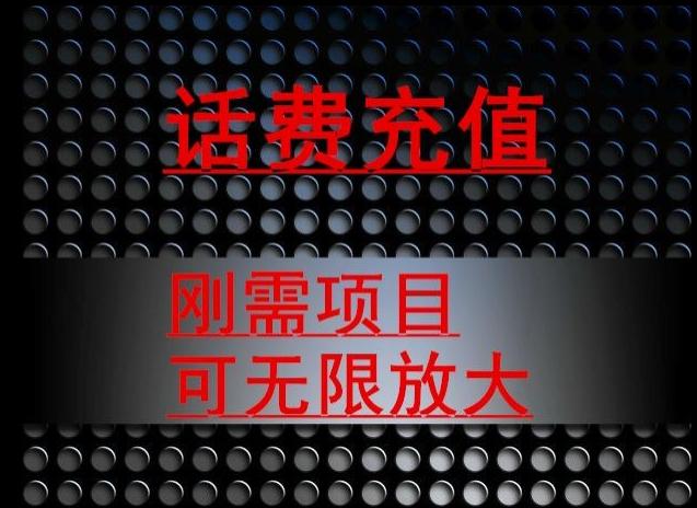 最新蓝海项目，刚需赛道，95折充话费月入5位数-E网资源