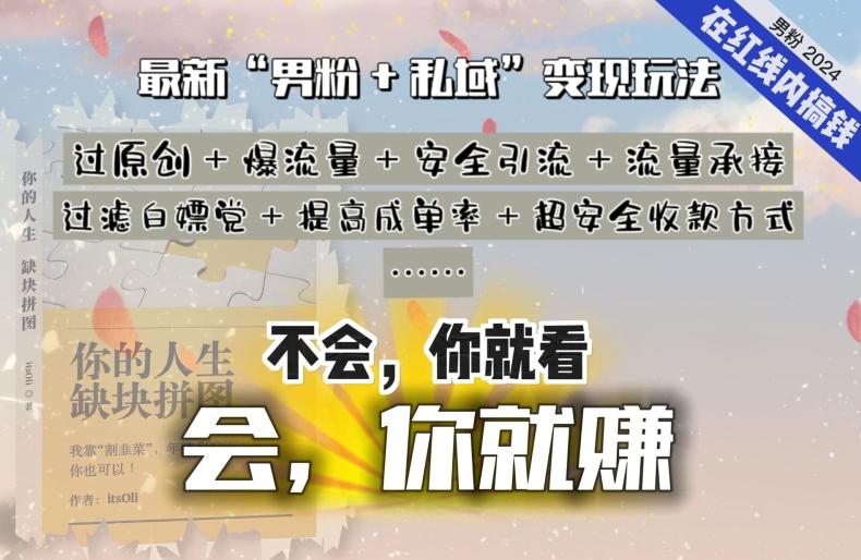 2024，“男粉+私域”还是最耐造、最赚、最轻松、最愉快的变现方式【揭秘】-E网资源