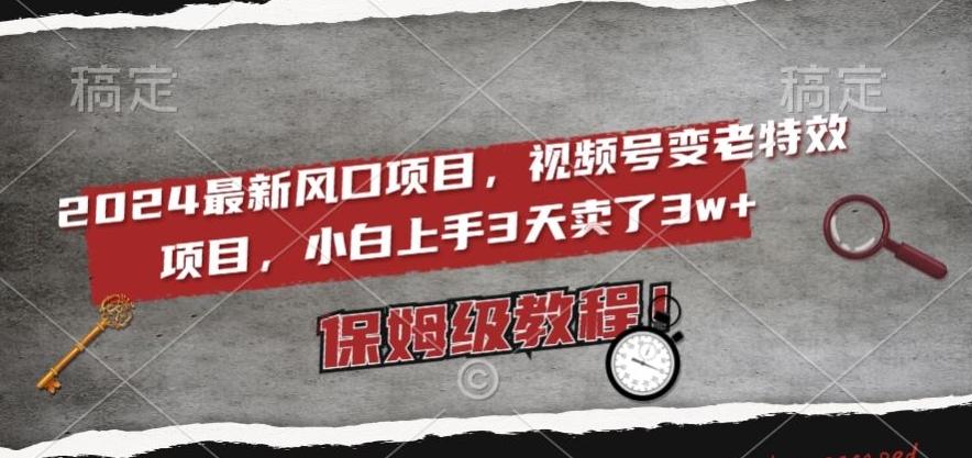 2024最新风口项目，视频号变老特效项目，电脑小白上手3天卖了3w+，保姆级教程【揭秘】-E网资源