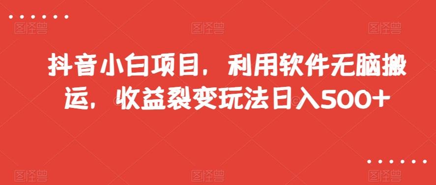 抖音小白项目，利用软件无脑搬运，收益裂变玩法日入500+【揭秘】-E网资源