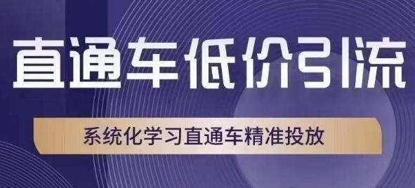 直通车低价引流课,系统化学习直通车精准投放