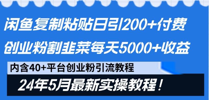 闲鱼复制粘贴日引200+付费创业粉，24年5月最新方法！割韭菜日稳定5000+收益-E网资源