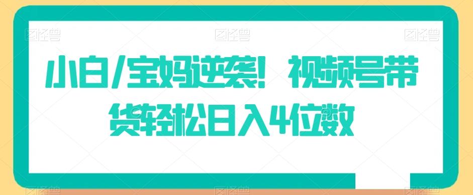 小白/宝妈逆袭！视频号带货轻松日入4位数【揭秘】-E网资源